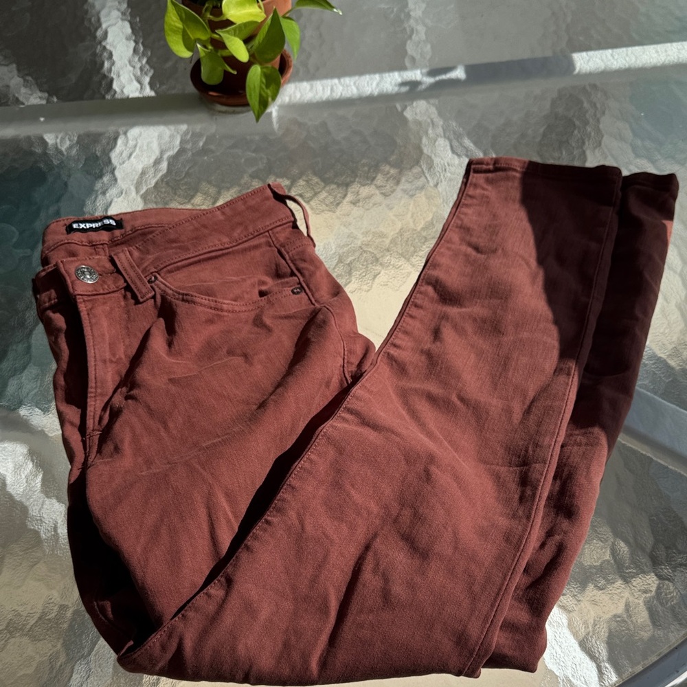 Express Burnt Orange Slim Fit Pants